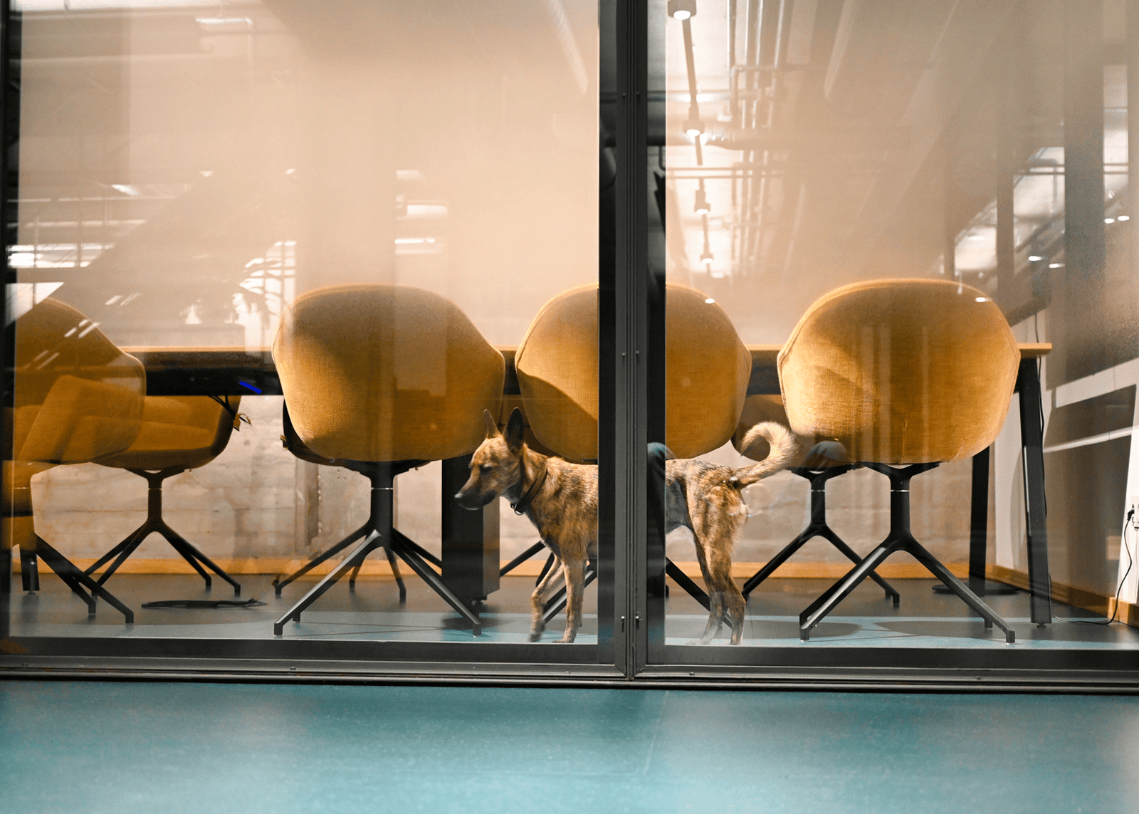 OFFICE.ONE Speicherstadt, Alter Speicher M27, Konferenzraum mit Luna Gipp